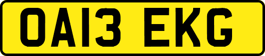 OA13EKG