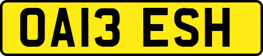 OA13ESH