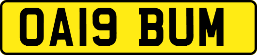 OA19BUM