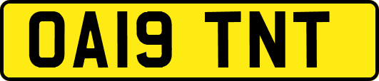 OA19TNT