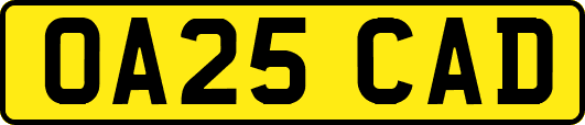OA25CAD