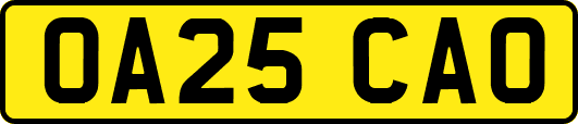 OA25CAO