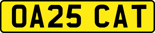 OA25CAT