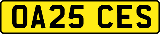 OA25CES