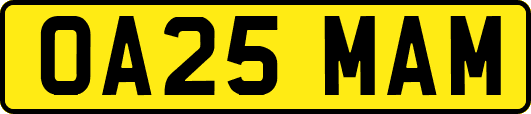 OA25MAM