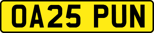 OA25PUN