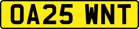 OA25WNT