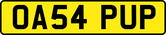 OA54PUP