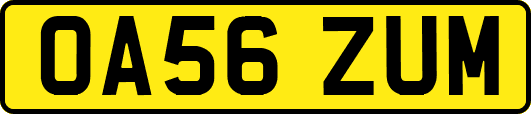 OA56ZUM