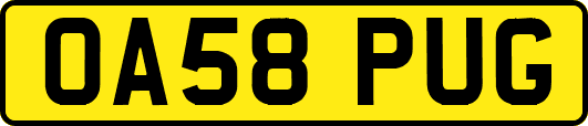 OA58PUG
