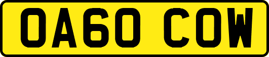 OA60COW