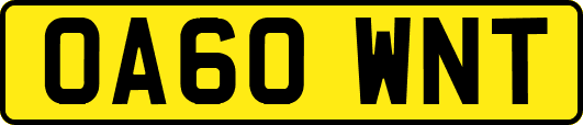 OA60WNT