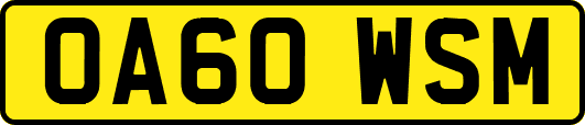 OA60WSM