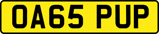 OA65PUP