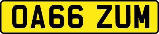 OA66ZUM