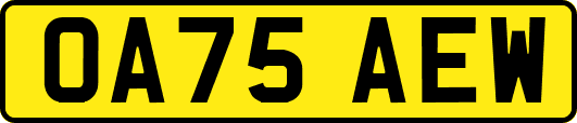 OA75AEW