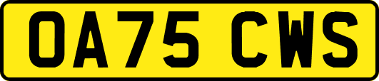 OA75CWS