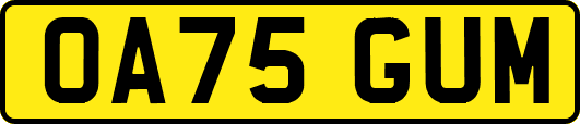 OA75GUM