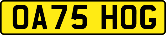 OA75HOG