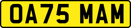 OA75MAM