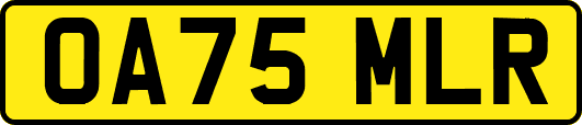 OA75MLR