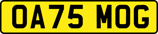 OA75MOG