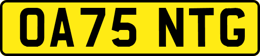 OA75NTG