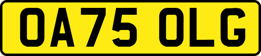 OA75OLG