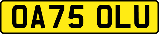 OA75OLU