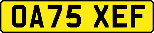 OA75XEF