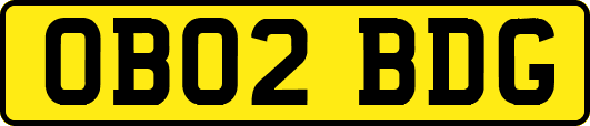OB02BDG