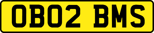 OB02BMS