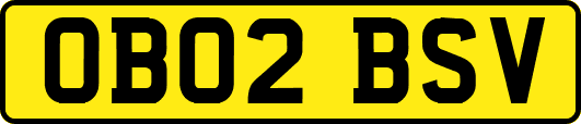 OB02BSV