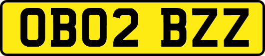OB02BZZ