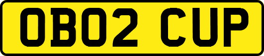 OB02CUP