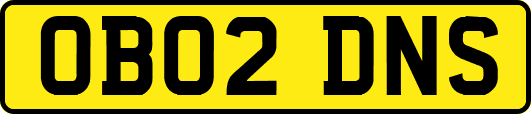 OB02DNS