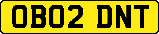 OB02DNT