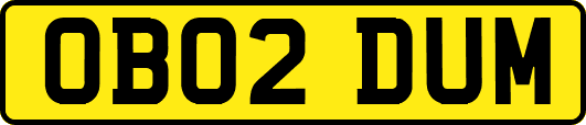 OB02DUM