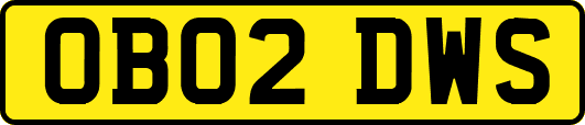 OB02DWS