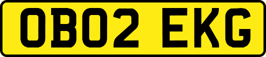 OB02EKG