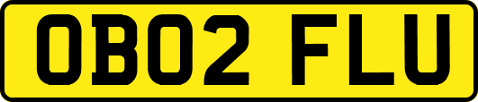 OB02FLU