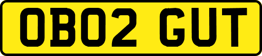 OB02GUT
