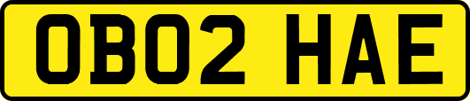 OB02HAE