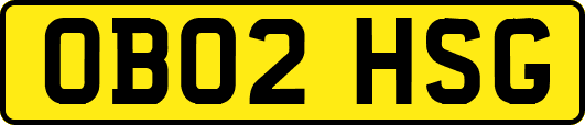 OB02HSG