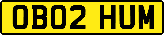 OB02HUM