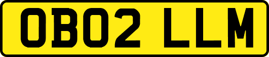 OB02LLM