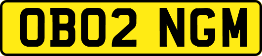 OB02NGM