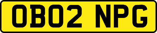 OB02NPG
