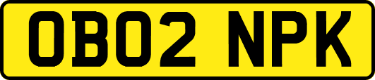 OB02NPK