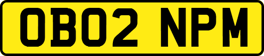 OB02NPM